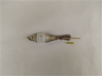 藏品(遠東樹鶯)的圖片